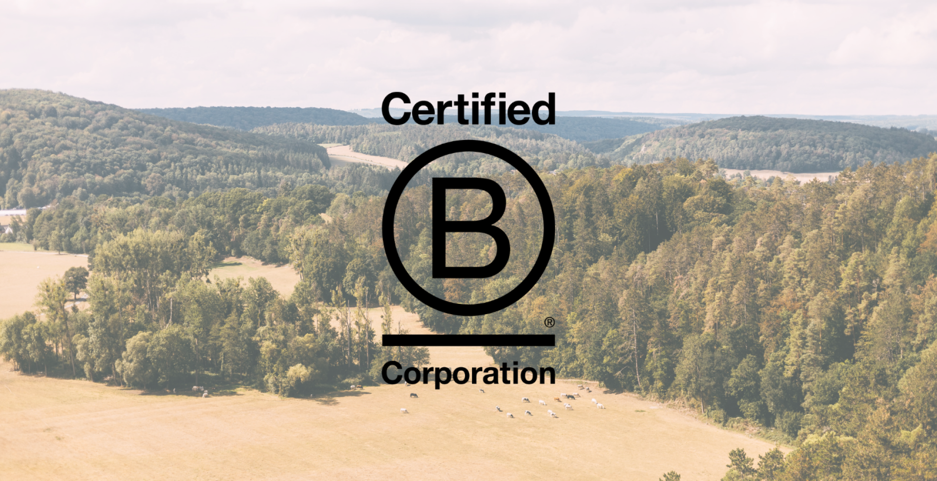 B Corp Certification - Spadel 2022