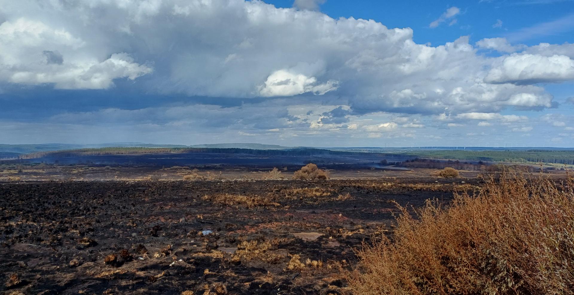 Hautes Fagnes