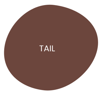 tail