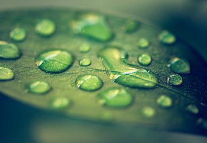 Close up of leave with drops on top