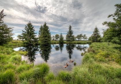Fagnes