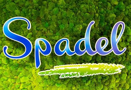 Spadel logo on the wall