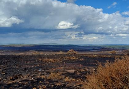 Hautes Fagnes
